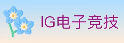 IG电子竞技 logo